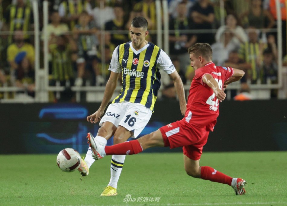 动诠释真正 动诠释真正